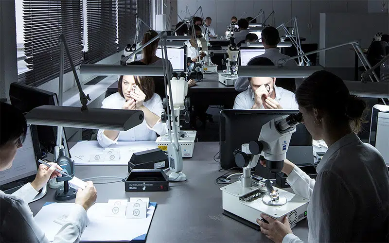 Igi gemology hotsell
