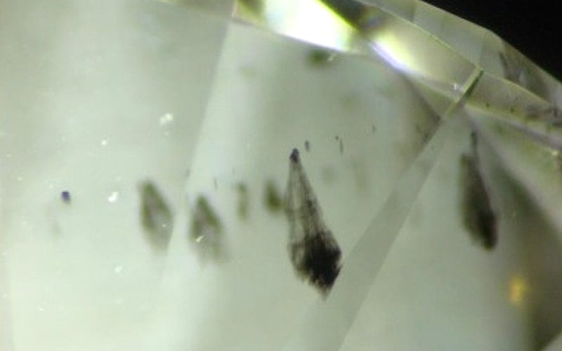 Inclusions Seen in Lab Grown Diamonds IGI
