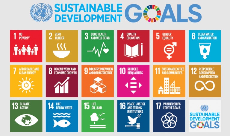 UN 17 Sustainability Goals