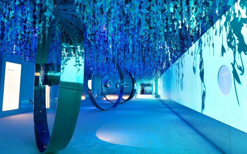 Vision & Virtuosity Blue Room
